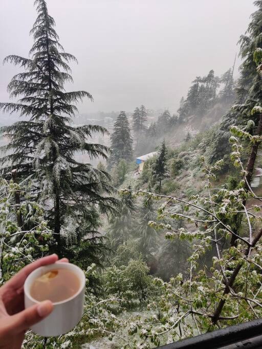 Aroma Taru Villa / Cottage ,Manali Exterior foto